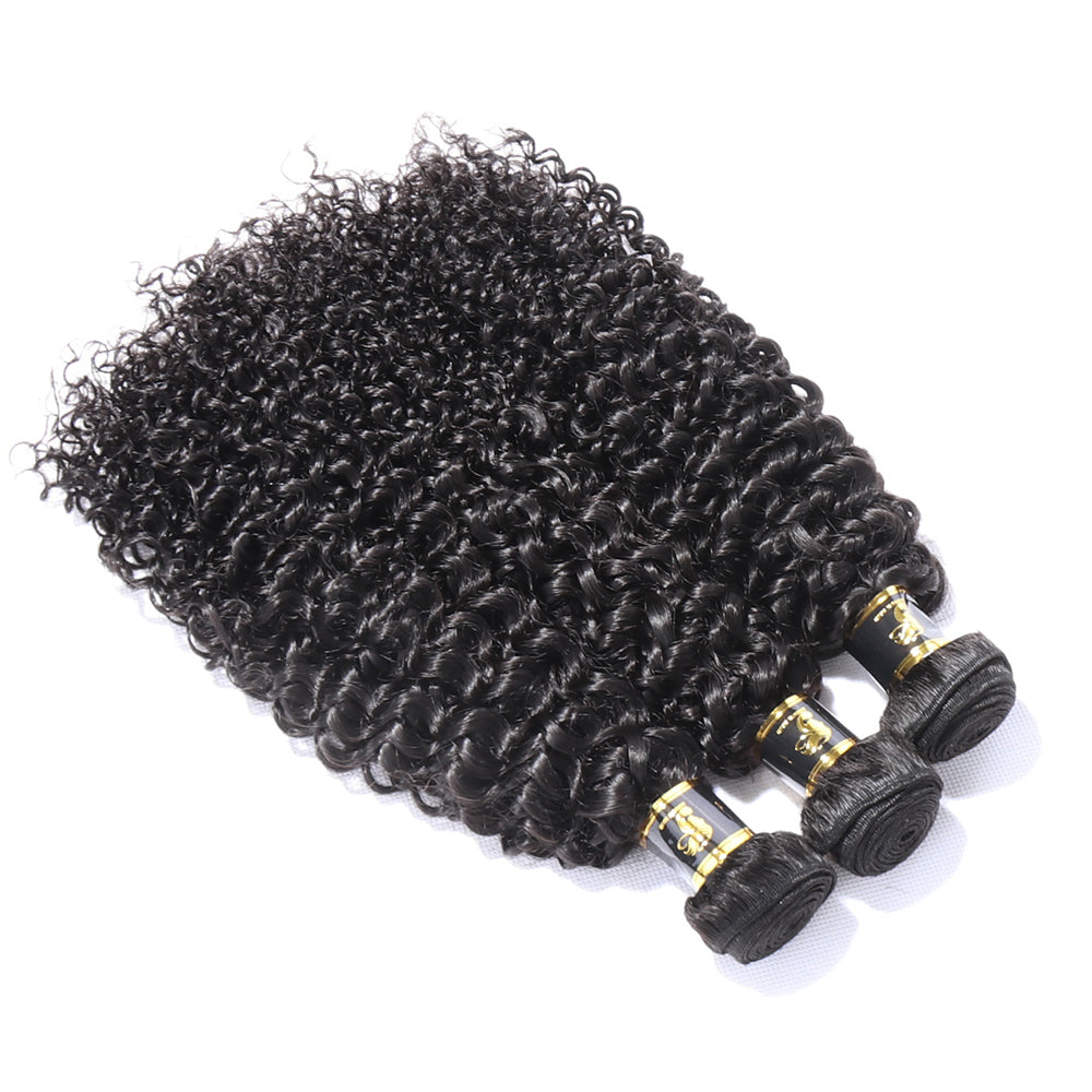 Brazilian Hair Kinky Curly Hair Bundles 100% Human Hair Weave Bundles Natural Black Curly Human Hair Extensions